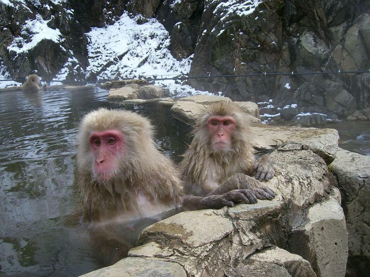 Hana Emi Kan Hakuba Kültér fotó